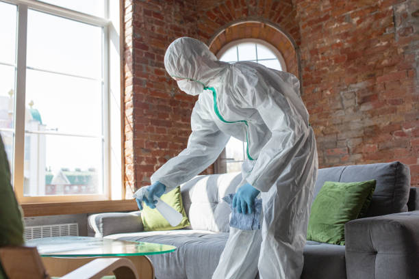 Reliable Dunkirk, NY Mold Removal & Remediation Solutions