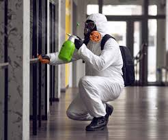 Best Black Mold Removal  in Dunkirk, NY